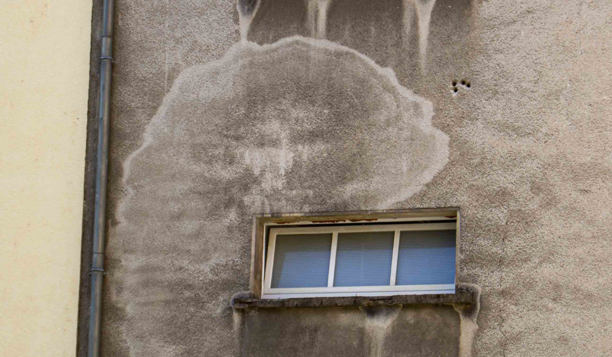 Design sans titre (37)